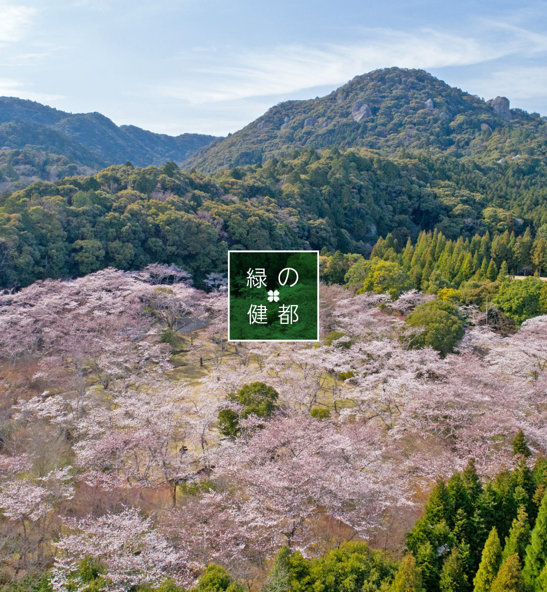 春の正法寺山荘跡