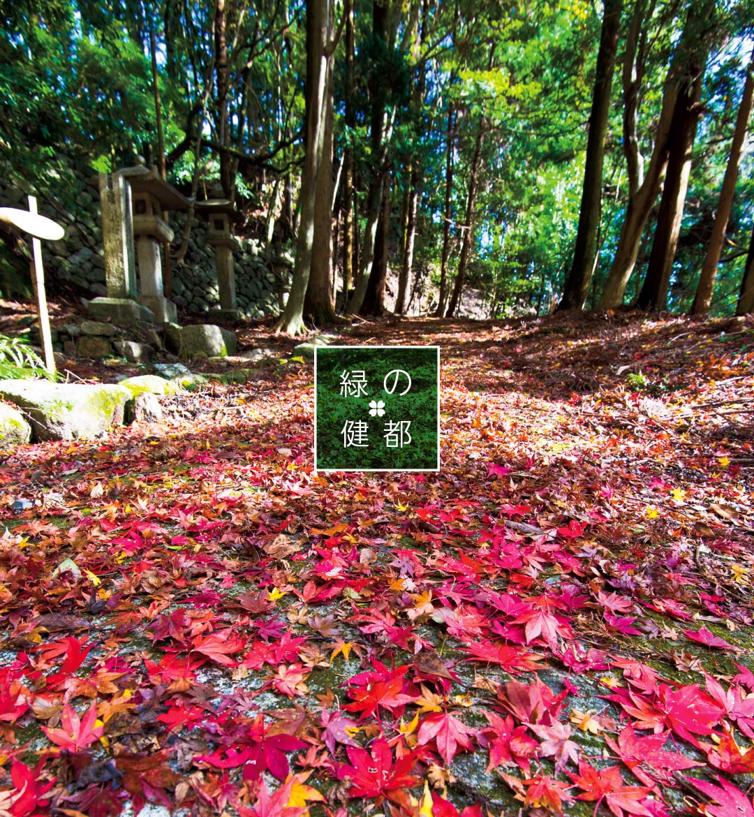 秋の片山神社