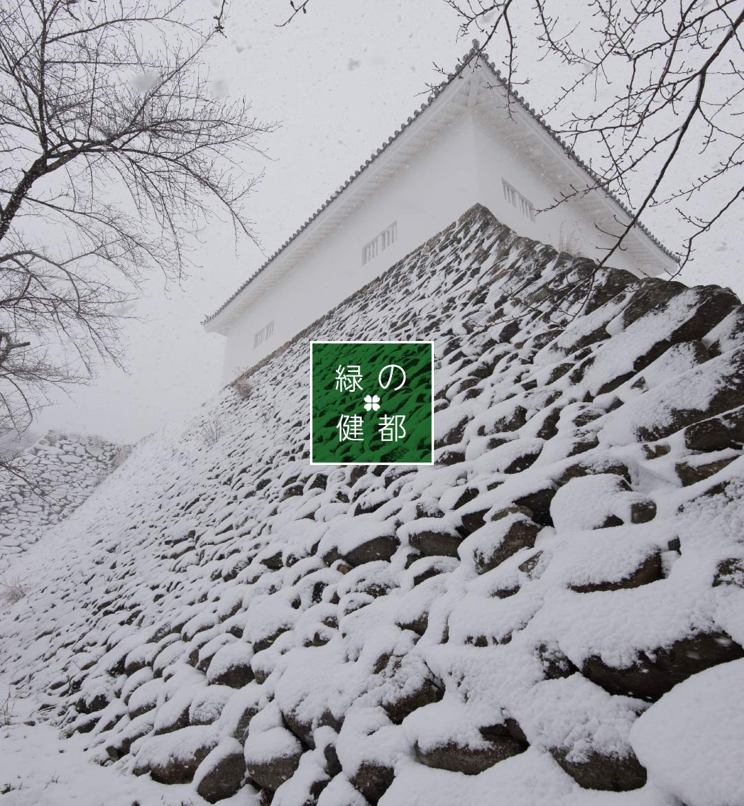 雪化粧の亀山城