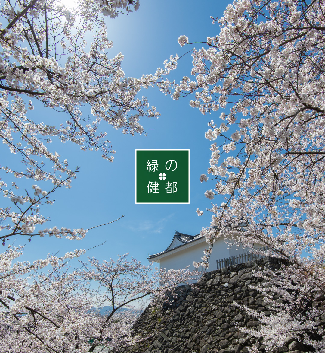 亀山市　緑の健都スライド　桜（亀山城多門櫓）　スマートフォン