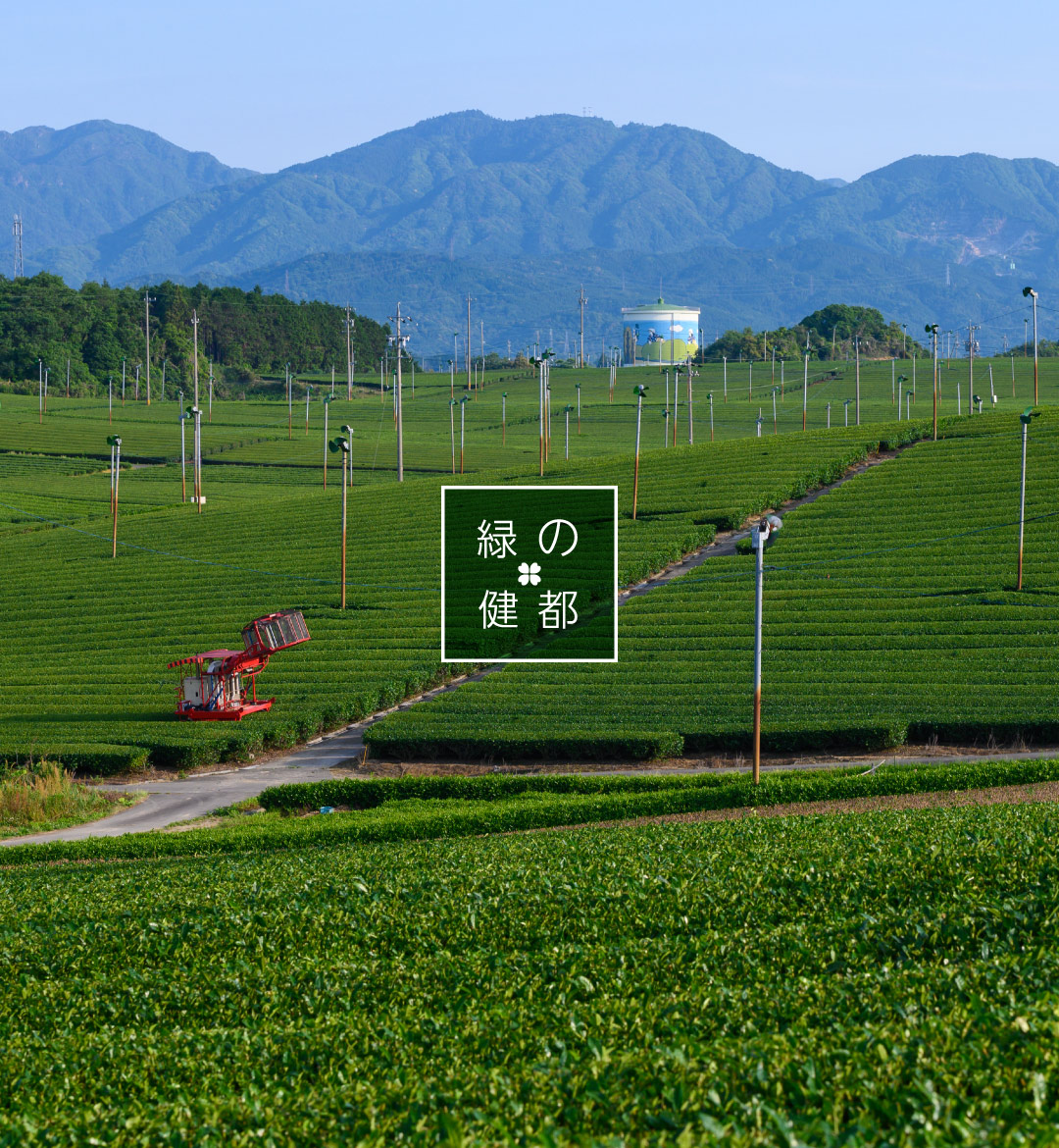亀山市　緑の健都スライド　茶畑（中の山パイロット）　スマートフォン