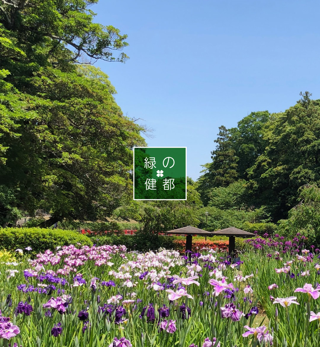 亀山市　緑の健都スライド　花しょうぶ（亀山公園花菖蒲園）　スマートフォン