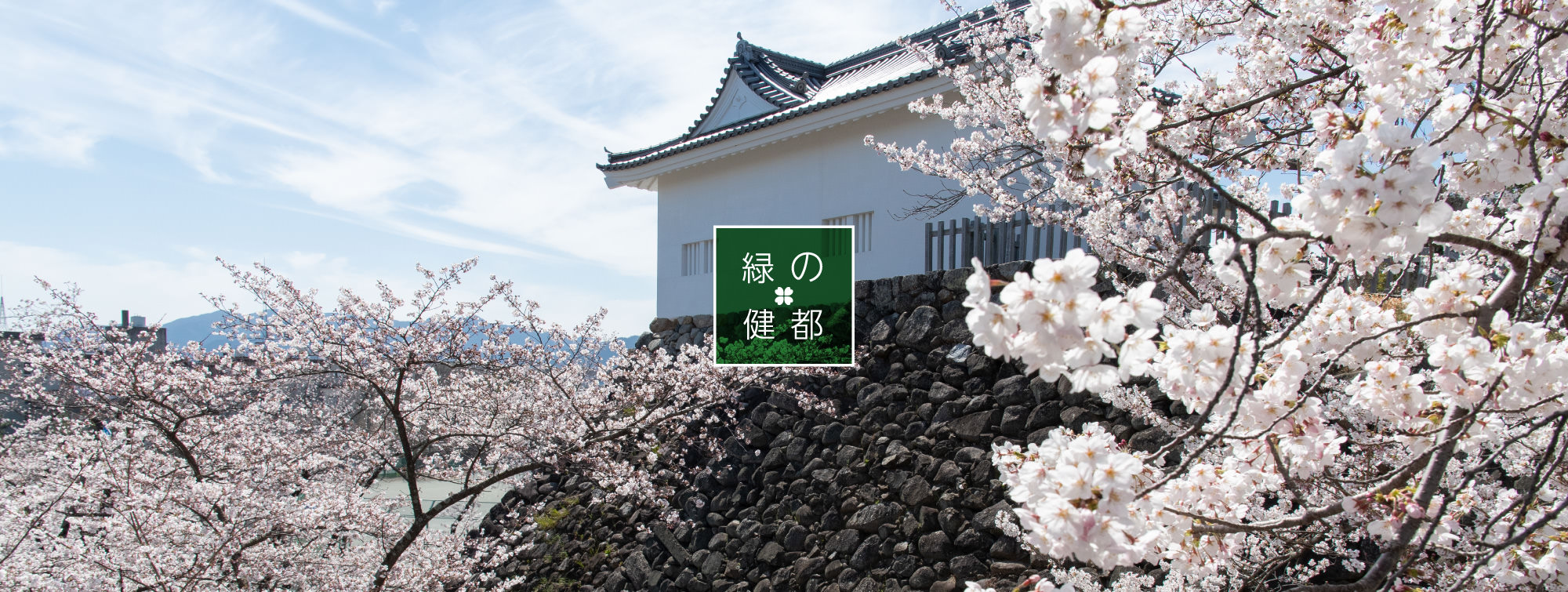 旧亀山城多門櫓と桜