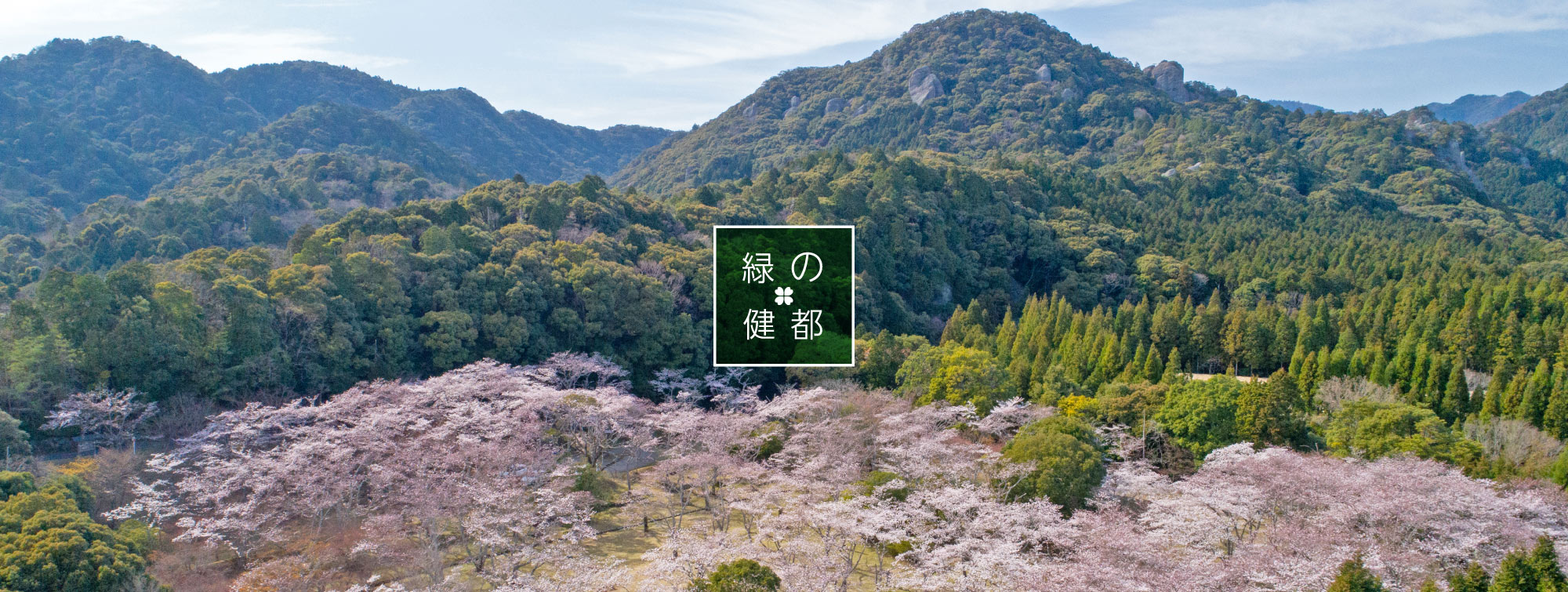 春の正法寺山荘跡