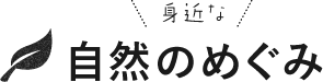 身近な自然のめぐみ