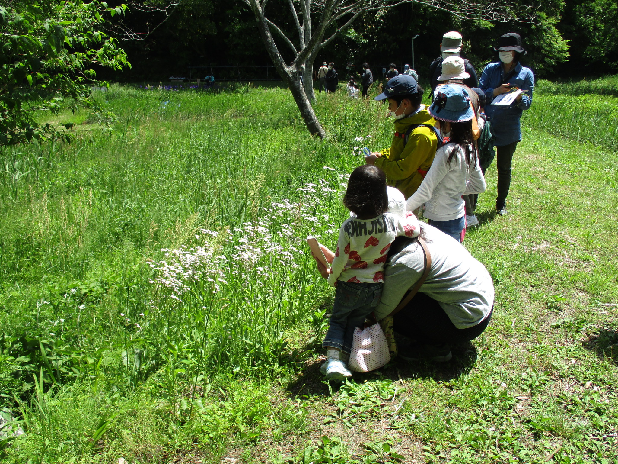 里山塾