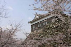 旧亀山城多門櫓の写真
