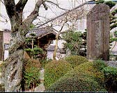 関の小万 関の小万