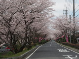 太岡寺畷