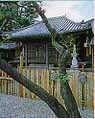 地蔵院本堂