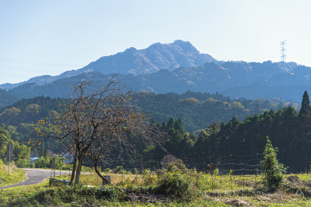 錫杖ヶ岳　全景