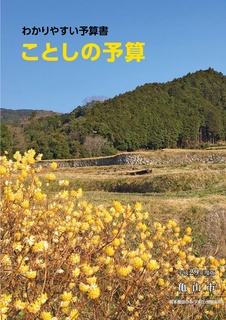 平成29年度わかりやすい予算書(4月16日号添付)