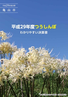 平成29年度わかりやすい決算書