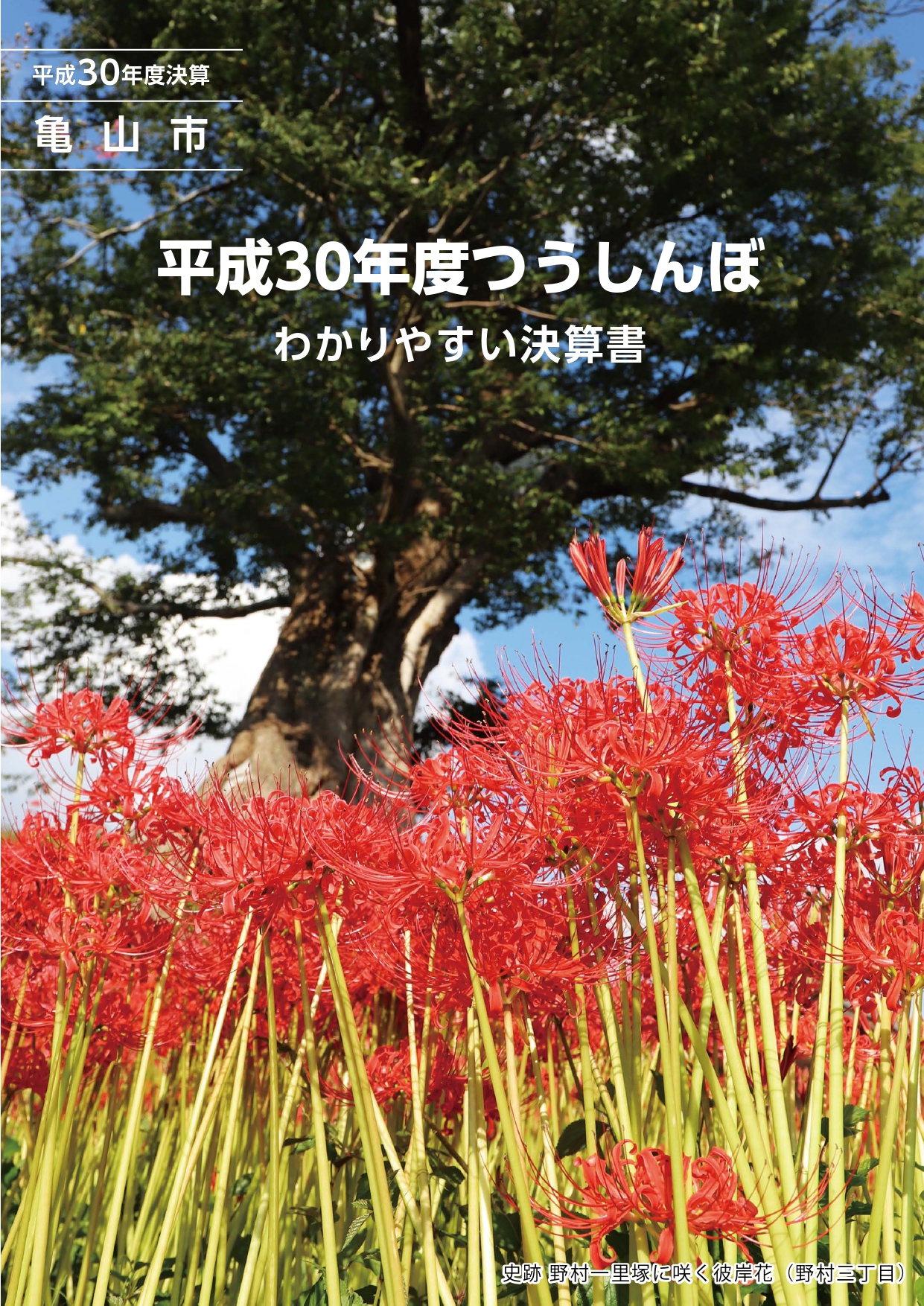 平成30年度わかりやすい決算書(10月16日号添付)