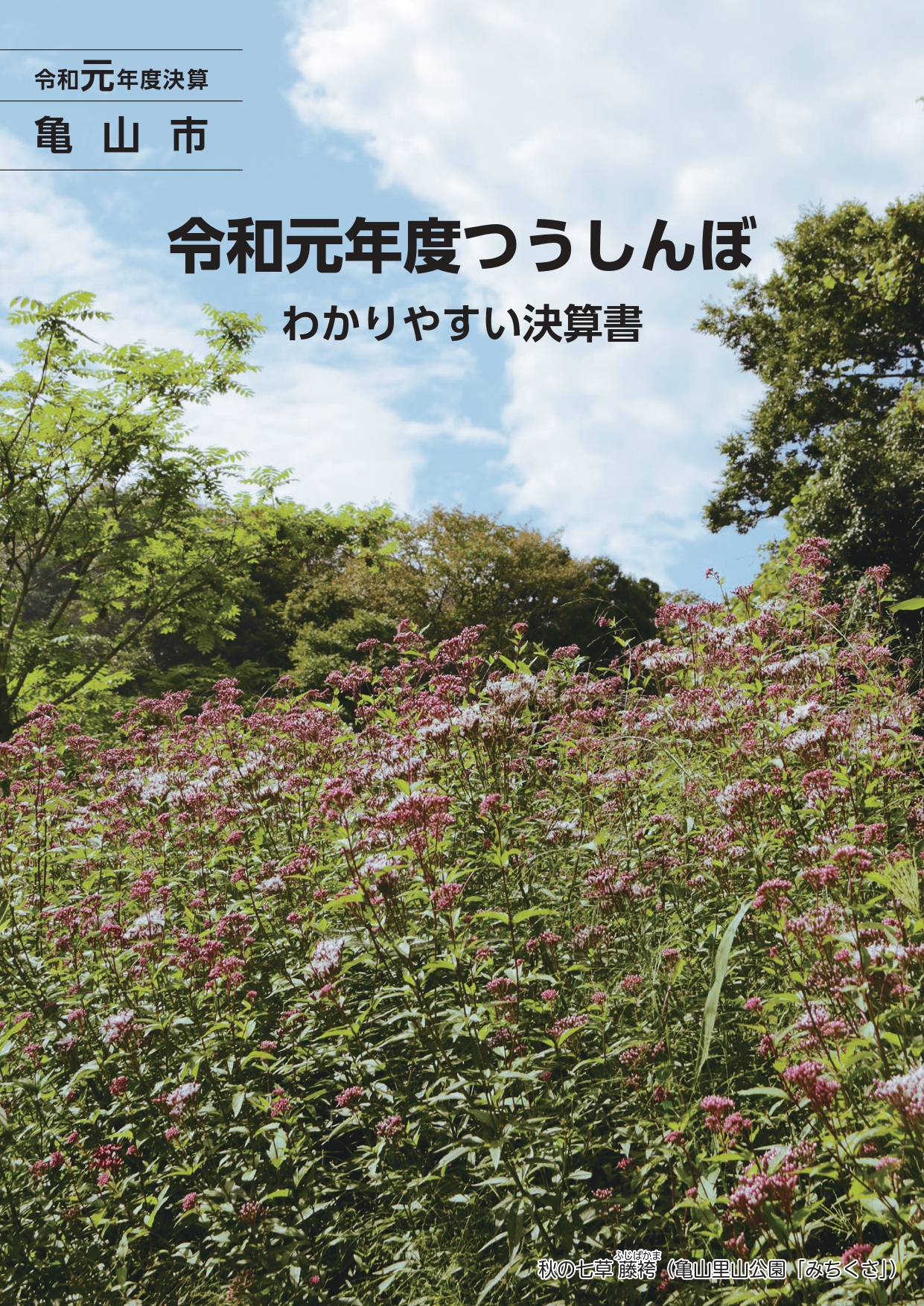 令和元年度わかりやすい決算書　表紙