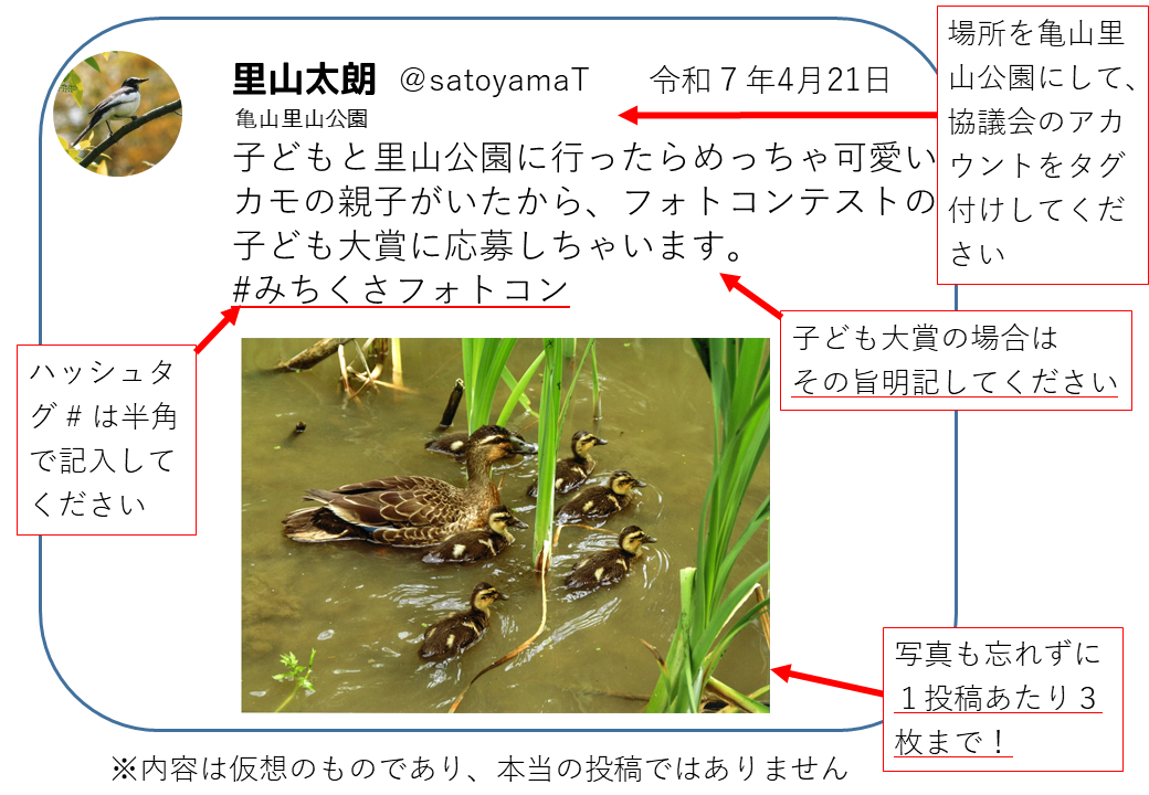 SNS投稿例
