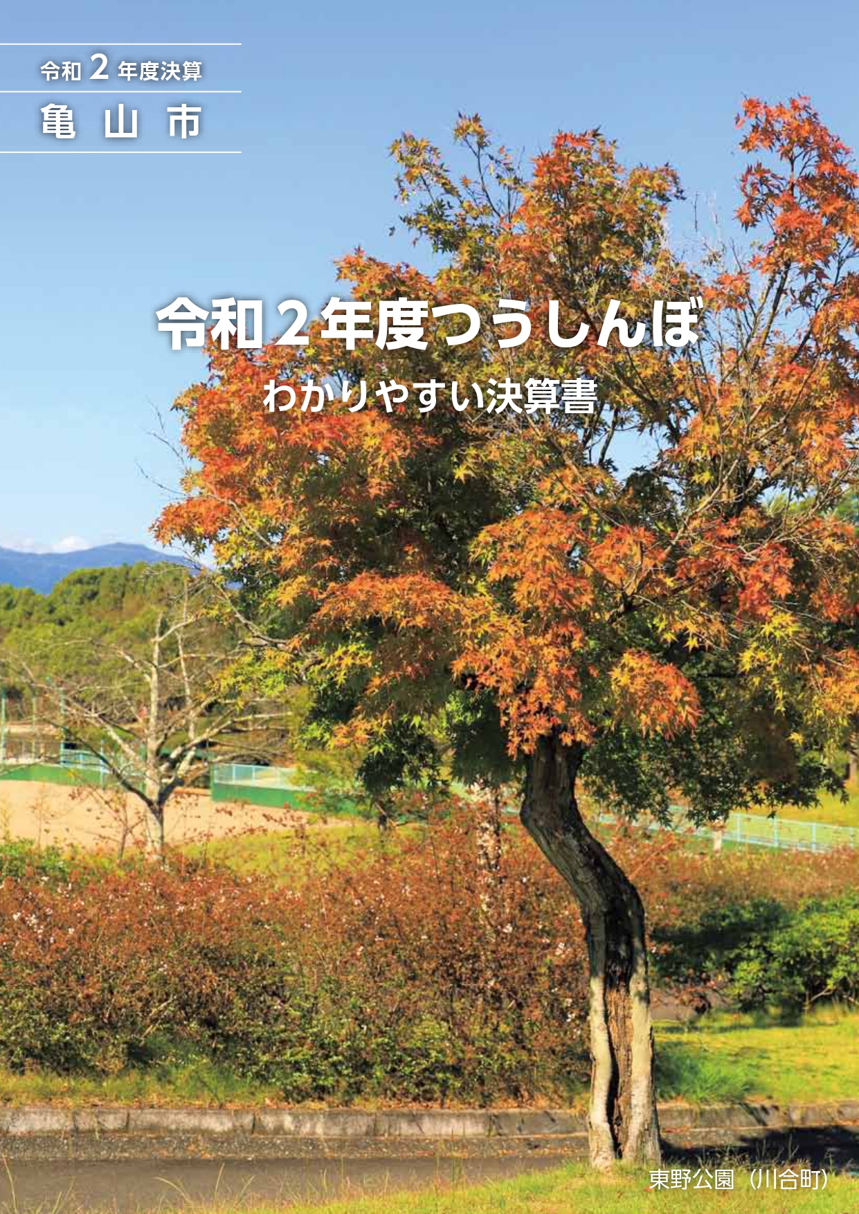 令和2年度わかりやすい決算書(10月16日号添付)