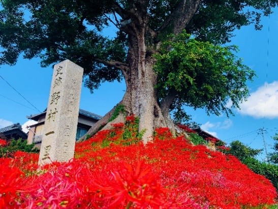 野村一里塚