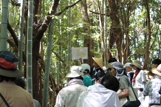 参道での説明風景