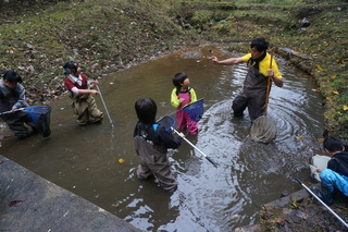 湿地生物観察１