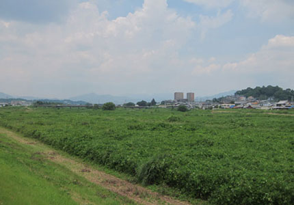 鈴鹿川堤防