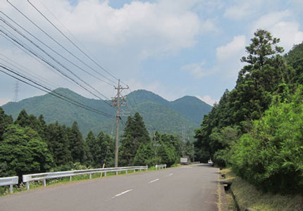 坂下宿沓掛内道路沿