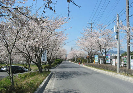 太岡寺畷