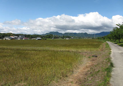 太田地区安楽川堤防