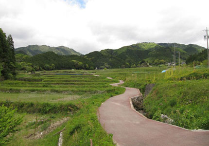 坂本棚田遊歩道