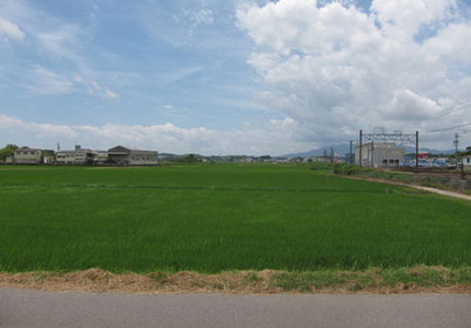 井田川農村公園