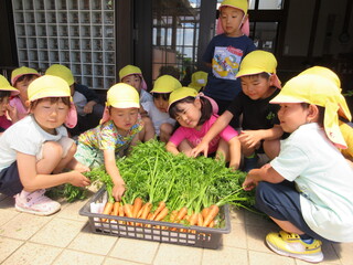 野菜1