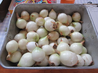 野菜4