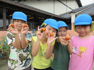 野菜6