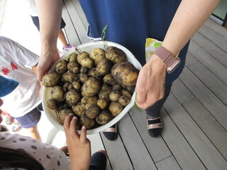 野菜8