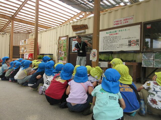 ザリガニ釣り１