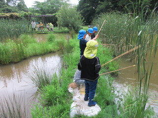 ザリガニ釣り２