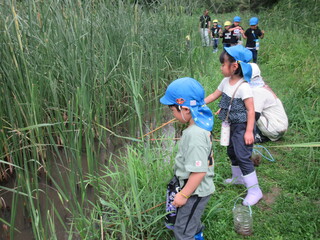 ザリガニ釣り３