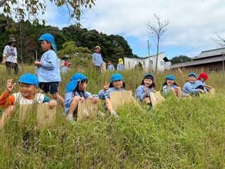 秋の遠足(３.５歳児⑬)