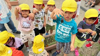 自然12