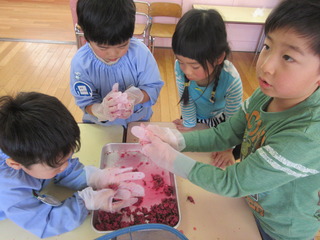 桜花に梅酢を入れて完成！