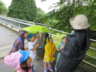 葉っぱから落ちる雨のしずくに歓声