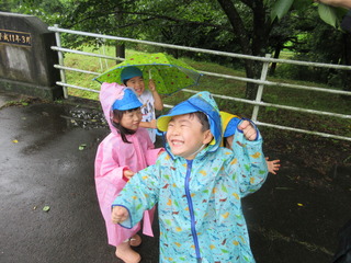 葉っぱから雨水が落ちてきた！