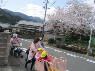 初めてのお散歩