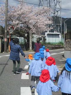 桜がきれいだね