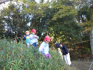 ⑨みんなの森2.3