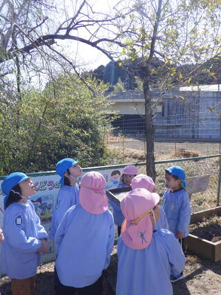 ばしょさがし１