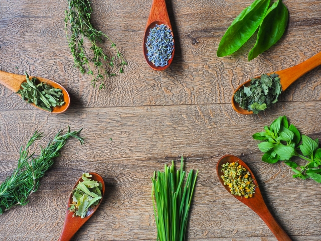 お香について学んで「匂い袋」を作ろう