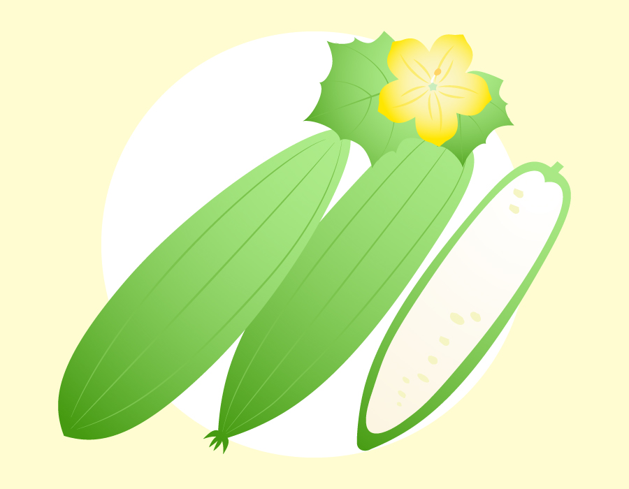 緑のカーテン・ヘチマ