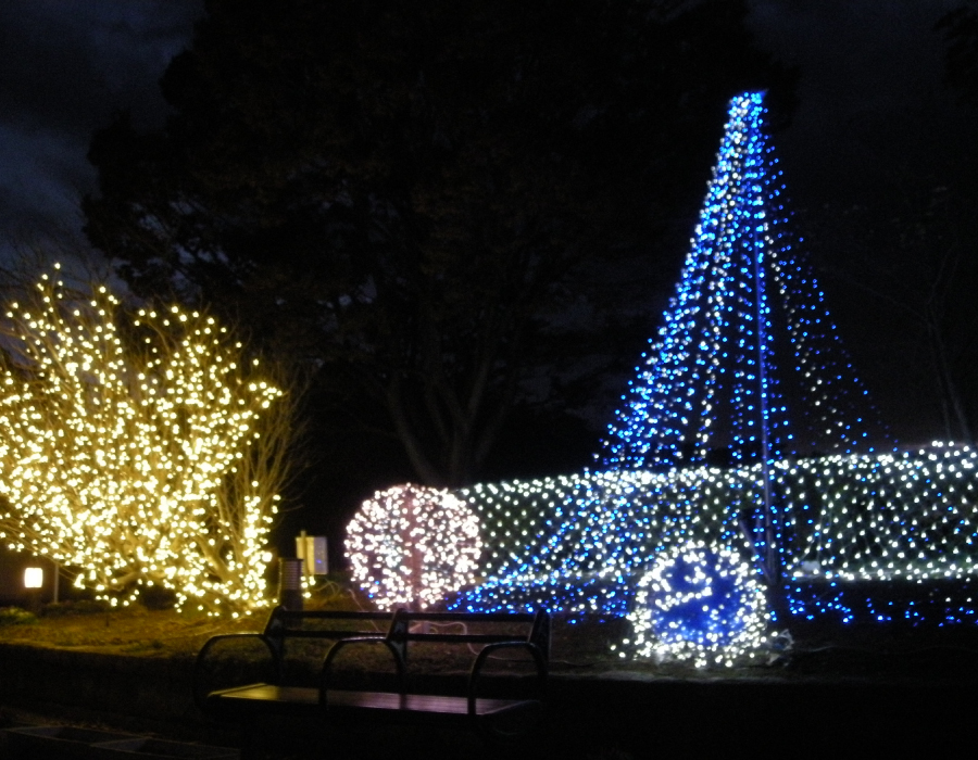 亀山サンシャインパークイルミネーション