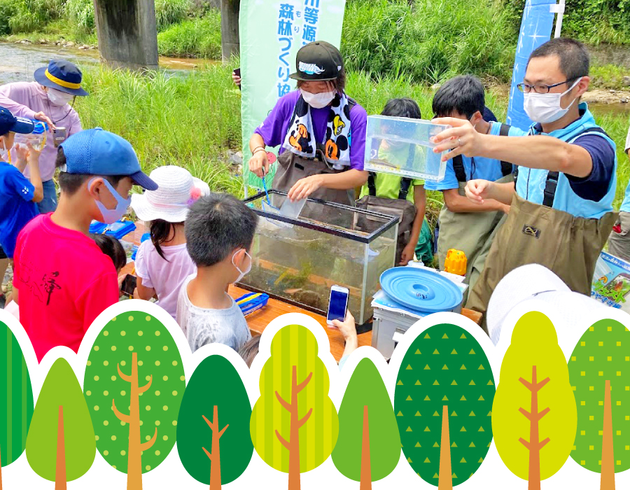 サマーフォレスト